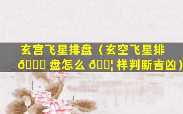 玄宫飞星排盘（玄空飞星排 🐒 盘怎么 🐦 样判断吉凶）